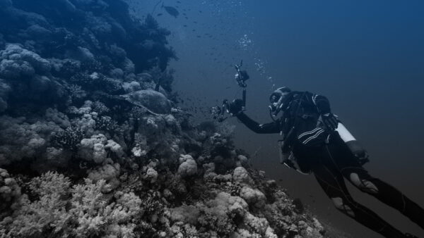 IoTが古代の海底の宝物を保護する