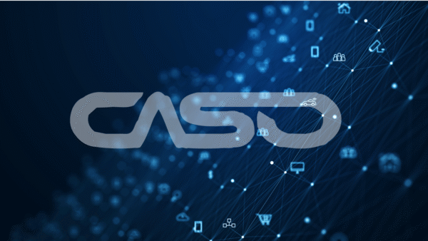 40GbE/1GbE PoE/バイパスモード対応NIC – CASO